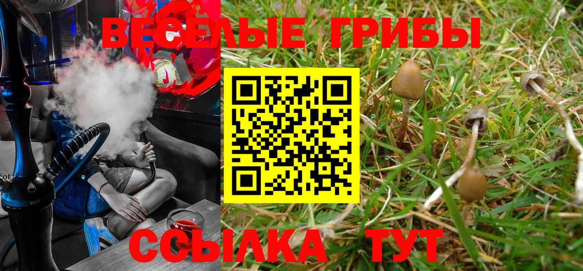 Псилоцибиновые грибы Magic Shrooms Шахты