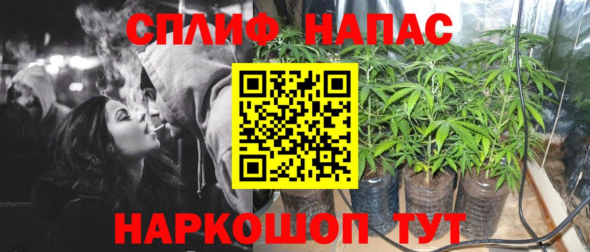 Конопля AK-47  Конопля THC 21%  Вход с VPN  Шахты  Марихуана VHQ 